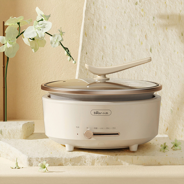 Cuisinière électrique multifonction