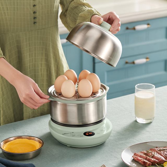 Cuiseur Vapeur Multifonctionnel