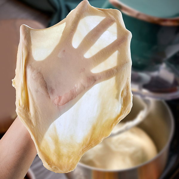 Timing de l'ours plusieurs fonctions Stand Mixer 