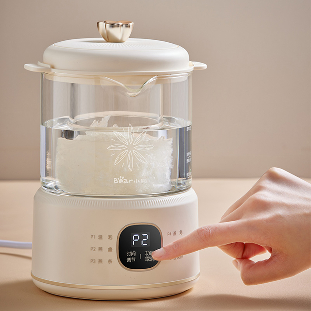 Smart Electric Health Kettle pour Bird's Nest